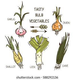 Hand drawn cute smiling bulb vegetables. Set of 5. 