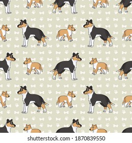 Hand drawn cute smooth collie breed dog and puppy seamless vector pattern. Purebred pedigree puppy domestic dog on paw background. Dog lover toy spaniel pet all over print. Kennel pooch. EPS 10. 