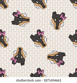 Hand drawn cute smooth collie breed dog with pink bow seamless vector pattern. Purebred pedigree puppy domestic dog on paw background. Dog lover toy spaniel pet all over print. Kennel pooch. 