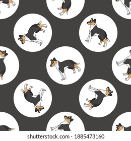 Hand drawn cute Smooth Collie dog breed in polka dot seamless vector pattern. Purebread pedigree puppy domestic on dotty background. Dog lover toy dog all over print. Kennel club pooch. 