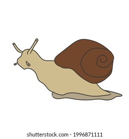Dibujo manual de caracol lindo, ilustración vectorial aislada en fondo blanco