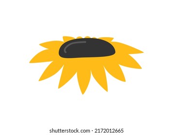 Hand drawn cute summer cartoon illustration of sunflower. Flat vector farm floral sticker in simple colored doodle style. Helianthus icon or print. Isolated on white background.