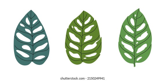 Hand drawn cute summer illustration monstera monkey mask leaves set. Flat vector botanical plant elements in simple colored doodle style. Tropical floral icon or print. Isolated on white background.