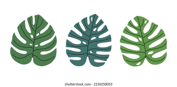 Hand drawn cute summer illustration of monstera leaves set. Flat vector botanical plant elements in simple colored doodle style. Tropical exotic floral icon or print. Isolated on white background.