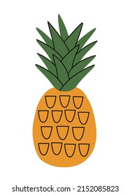 Hand drawn cute summer illustration of pineapple or ananas. Flat vector fresh fruit in simple colored doodle style. Tropical exotic raw food icon or print. Isolated on white background.