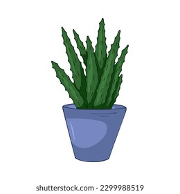 Dibujo manual de la linda ilustración de verano de cultivo de aloe vera en olla. Planta de hogar vectorial plana aislada en fondo blanco.