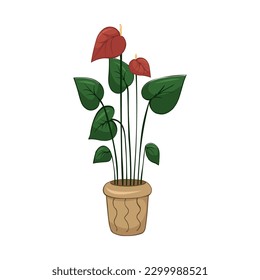 Hand drawn cute summer illustration of growing anthurium in pot. Flat vector home plant Isolated on white background.