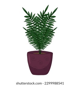 Hand drawn cute summer illustration of growing blehnum in pot.Flat vector home plant Isolated on white background.