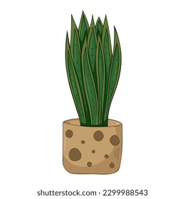 Hand drawn cute summer illustration of growing sansevieria in pot. Vector simple colored Home plant icon.