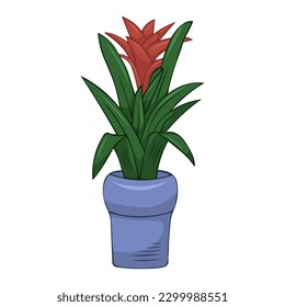 Hand drawn cute summer illustration of growing gusmania in pot. Vector simple colored doodle style.Home plant icon