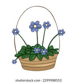 Hand drawn cute summer illustration of growing pinguicula in pot. Flat vector home plant Isolated on white background.