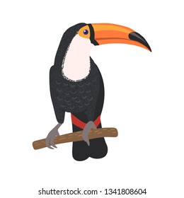 Hand drawn cute toucan isolated on white background. Tropical bird. Vector illustration.