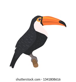 Hand drawn cute toucan isolated on white background. Tropical bird. Vector illustration.