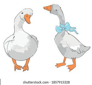 Hand drawn cute two gooses isolated on white background vector illustration set