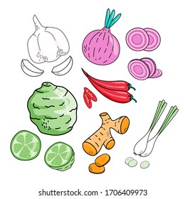 Hand drawn cute vegetables food isolated on white background. Garlic, Bergamot, Ginger, Onion, Chilli and lemon grass. Vector illustration.