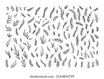 Hand Drawn cute vintage floral elements of flowers, leaves, branches, decorative plants for design background, invitations, greeting cards, logos, flyers, scrapbooking. Isolated vector on white.
