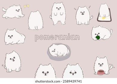 Hand drawn cute white fluffy pomeranian pose set