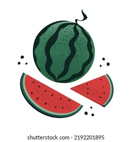 Hand drawn cute whole watermelon and slices with seeds. Colorful vector illustration on white background