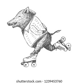 Hand drawn cute wild boar on roller skates, vector illustration. T shirts and Card design.