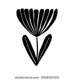 Hand drawn cutout black flowers and other botanical elements.