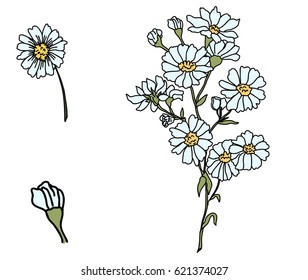 Hand drawn cutter flower, isolate vector set