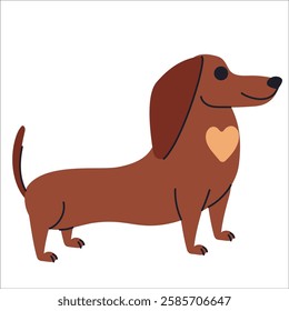 Hand drawn Dachshund dog. Modern isolated vector illustration.