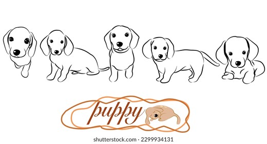 Hand drawn Dachshund puppy dog doodle illustration,dog poses,dog breed,dachshund in action