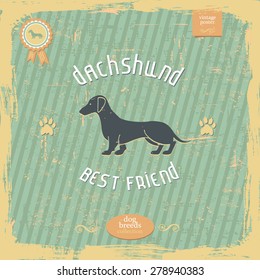 Hand drawn Dachshund vintage typography poster. All objects are conveniently grouped and are easily editable. Pure stylized silhouette of a dog is easily accessible 