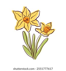 Hand drawn daffodil flower with yellow petals and green leaves. A vibrant floral illustration for spring design, greeting card and nature themed artwork. Isolated on white background.