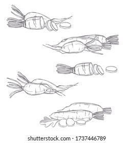 Hand drawn Daikon radishes. Vector sketch  illustration.