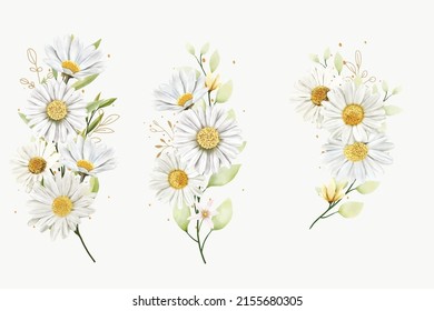 hand drawn daisy floral bouquet background design