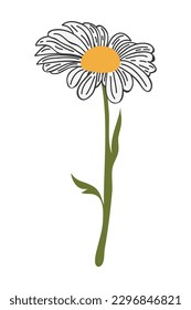 Hand Drawn Daisy Flower Cartoon Illustration. A simple flower on white background. Vector illustration.