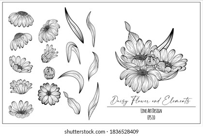 Hand Drawn Daisy Flower and Elements. Line Art in Black and White Color