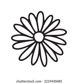 Hand drawn daisy flower vector illustration