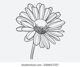 Flores de margarita dibujadas a mano. Cada elemento está aislado. Hay capas de: cada elemento, relleno de flores y trabajo en línea. Muy fácil de editar para cualquier proyecto. Ilustración del vector