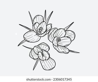 Flores de margarita dibujadas a mano. Cada elemento está aislado. Hay capas de: cada elemento, relleno de flores y trabajo en línea. Muy fácil de editar para cualquier proyecto. Ilustración del vector