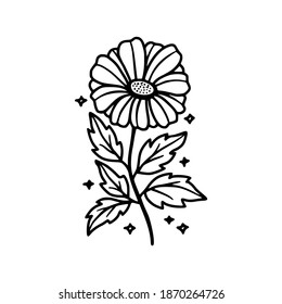 Hand drawn daisy, gerbera flower, floral leaf branch vector illustration. Line art element for wedding invitation card, icon, logo, symbol, coloring book, feminine brand, beauty product, decoration