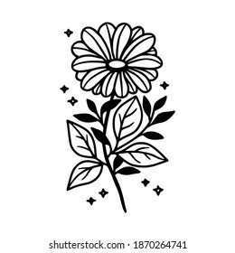 Hand drawn daisy, gerbera flower, floral leaf branch vector illustration. Line art element for wedding invitation card, icon, logo, symbol, coloring book, feminine brand, beauty product, decoration