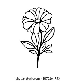 Hand Drawn Daisy Gerbera Flower Floral Stock Vector (Royalty Free ...