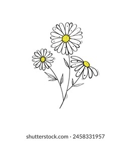 Hand Drawn Daisy Vector Design.