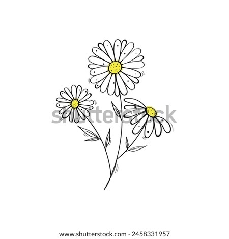 Hand Drawn Daisy Vector Design.