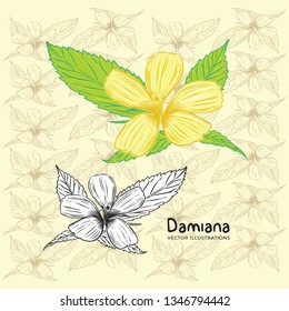 Handgezeichnete Damiana-Blumen-Vektorgrafiken