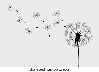 Hand drawn dandelion flowers. Abstract floral summer posters, wall art isolated on white background,  Creative vector illustration
