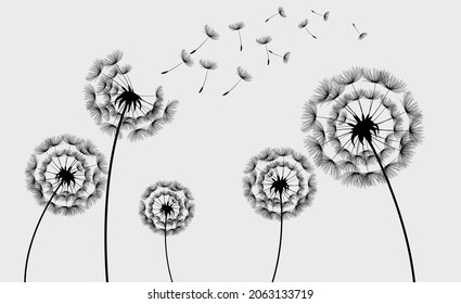 Hand drawn dandelion flowers . Abstract floral summer posters, wall art isolated on grey background