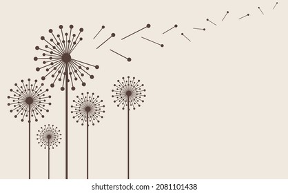Hand drawn dandelion flowers . Abstract floral summer posters, wall art isolated on cream  background. 