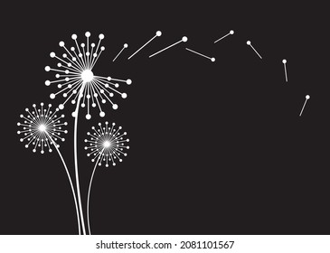 Hand drawn dandelion flowers . Abstract floral summer posters, wall art isolated on black  background. 