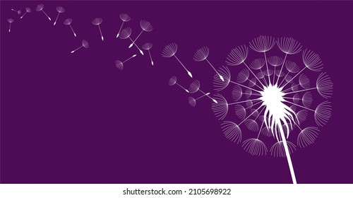Hand drawn dandelion flowers. Abstract floral summer posters, wall art isolated on violet background,  Creative vector illustration