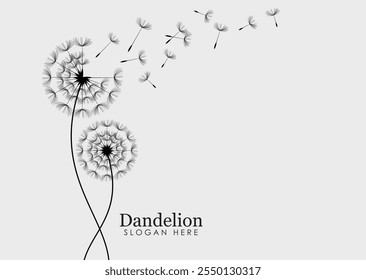 Hand drawn dandelion flowers . Abstract floral summer posters, wall art isolated on  background.