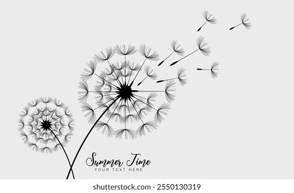 Hand drawn dandelion flowers . Abstract floral summer posters, wall art isolated on  background.