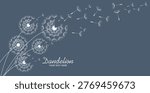 Hand drawn of dandelion, flying seeds of dandelion.Blowing dandelion vector